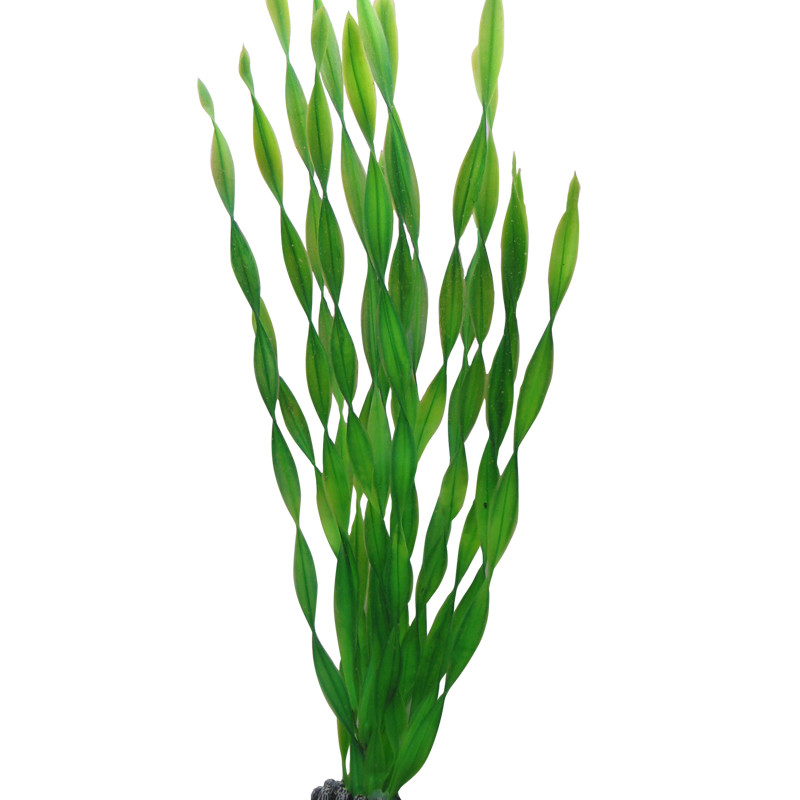 Produktbild för Plastväxt Vallisneria Hobby 46cm