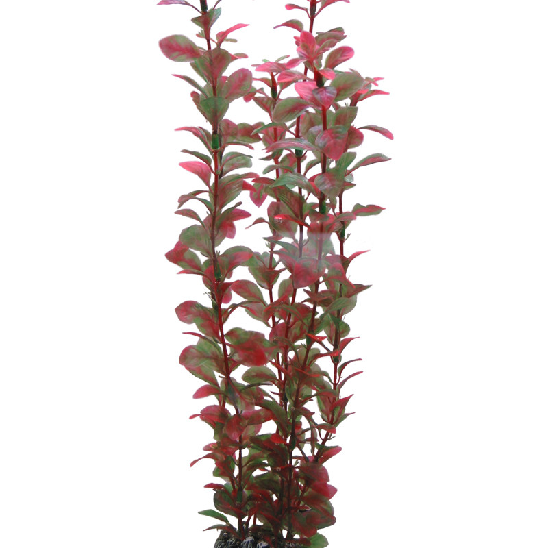 Produktbild för Plastväxt Ludwigia Hobby 34cm