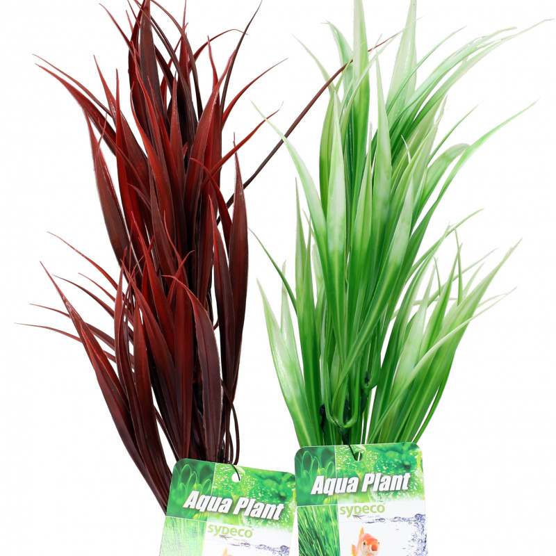 Produktbild för Plastväxt Sword plant Sydeco 25 cm