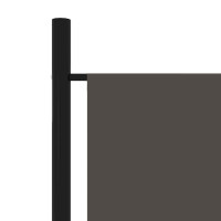Produktbild för Rumsavdelare 5 paneler antracit 250x180 cm