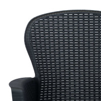 Produktbild för Trädgårdsstol med dyna 2 st plast konstrotting antracit