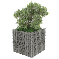 Produktbild för Planteringsgabion upphöjd galvaniserat stål 50x50x50 cm