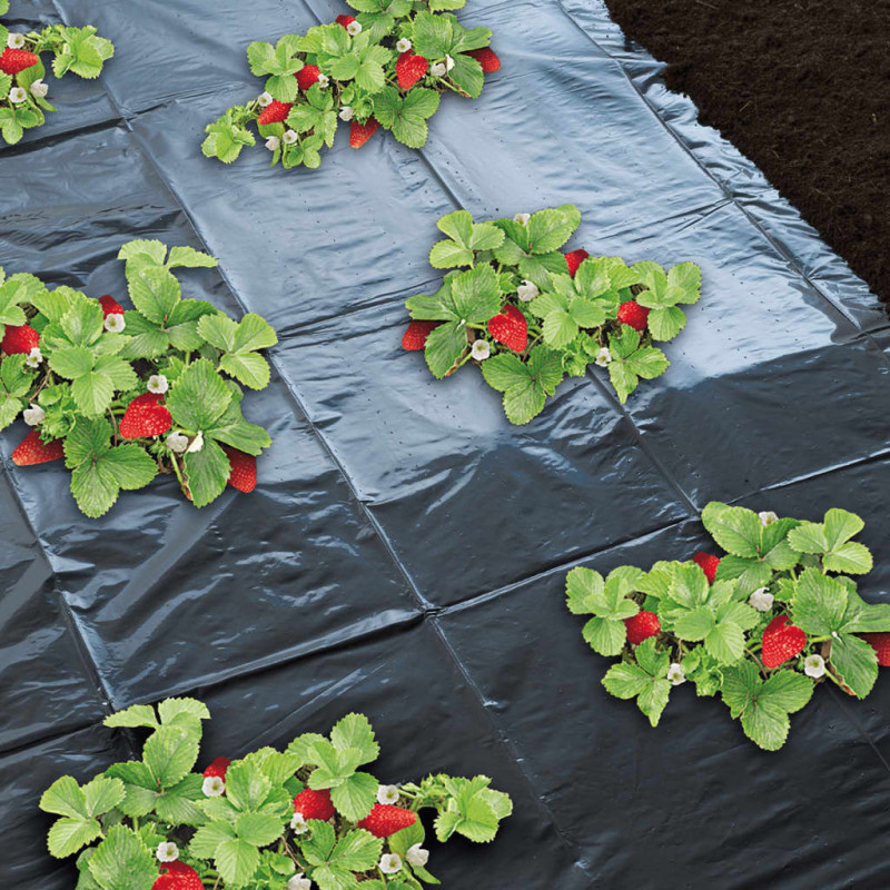 Produktbild för Nature Markduk för jordgubbar 1,4x20 m 6030231