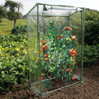 Miniatyr av produktbild för Växthus för tomatodling 100x50x150 cm