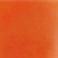 Miniatyr av produktbild för Wonder Nail - Vibrant Tangerine 429