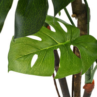 Produktbild för Konstväxt Monstera med kruka 170 cm grön