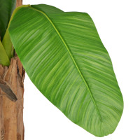 Produktbild för Konstväxt bananträ med kruka 250 cm grön