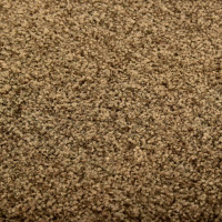 Produktbild för Dörrmatta tvättbar brun 90x120 cm
