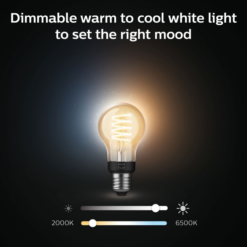 Produktbild för Hue White Ambiance Filament E27 A60 40W