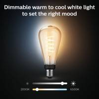 Produktbild för Hue White Ambiance Filament E27 ST72 Edison
