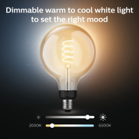 Produktbild för Hue White Ambiance Filament E27 G125 Glob