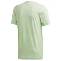 Produktbild för ADIDAS Logo Tee Green Mens (M)