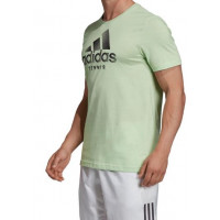 Produktbild för ADIDAS Logo Tee Green Mens (M)