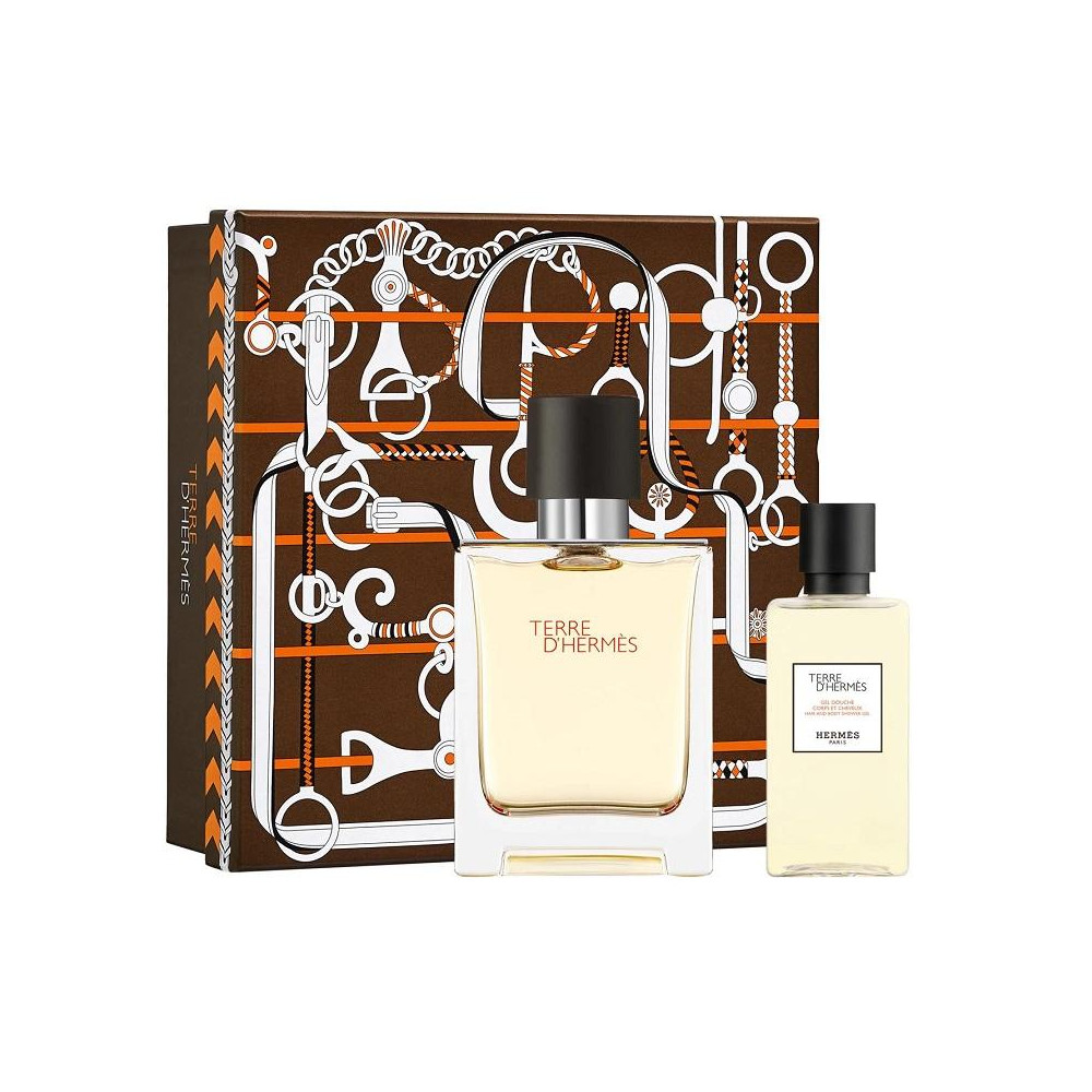 Produktbild för Giftset Hermes Terre dHermes Edt 100ml + Shower Gel 80ml