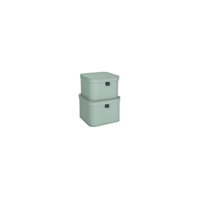 Produktbild för Förvaringsbox m.lock kartong mint 2/fp
