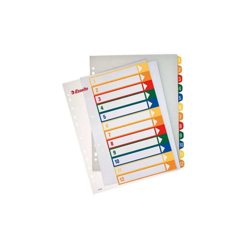 Produktbild för Plastregister ESSELTE PP A4+ 1-12 färger
