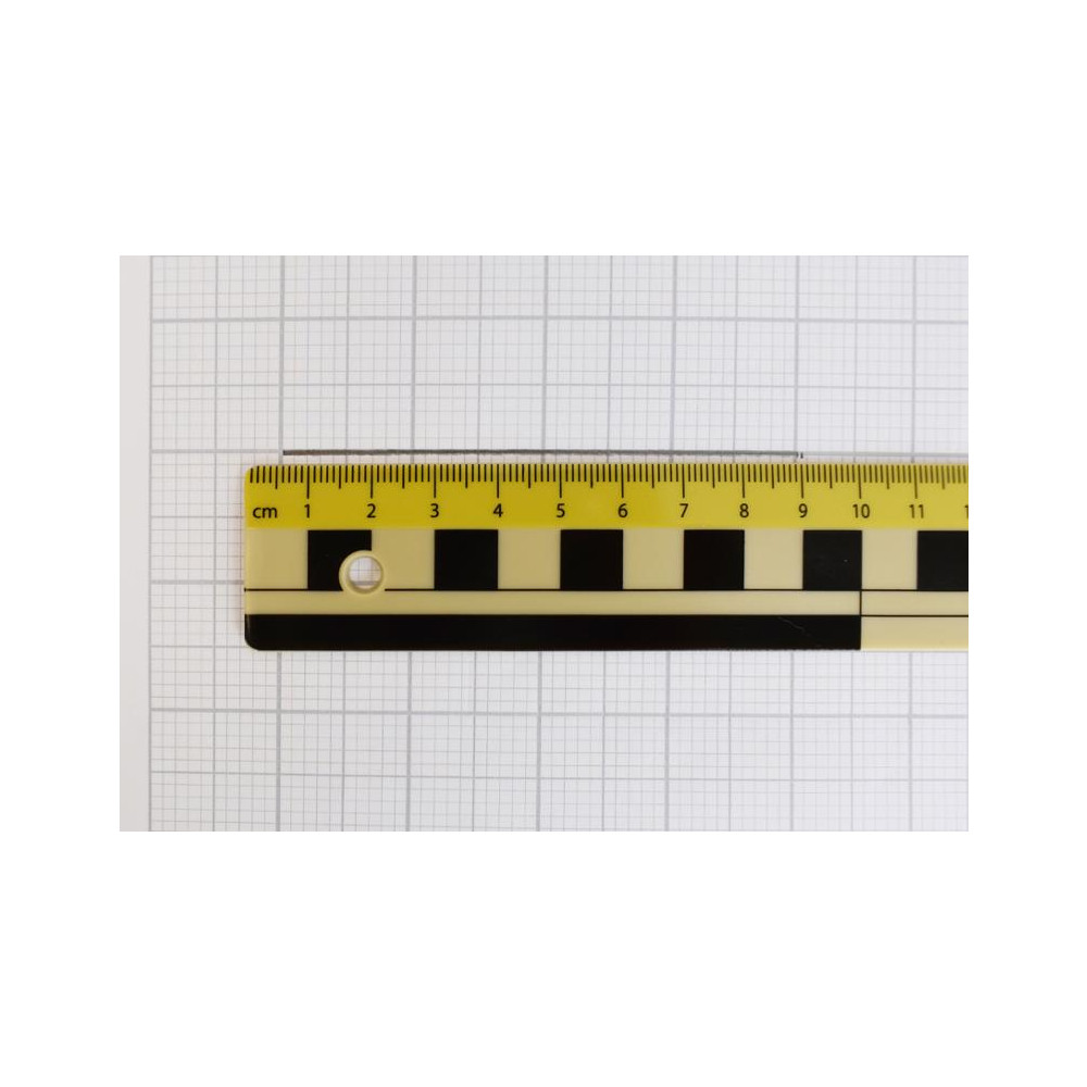 Produktbild för Linjal 30cm dm/cm/mm-grader plast 10/fp