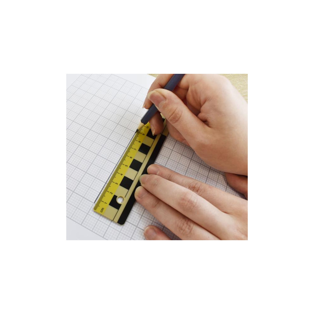 Produktbild för Linjal 30cm dm/cm/mm-grader plast 10/fp