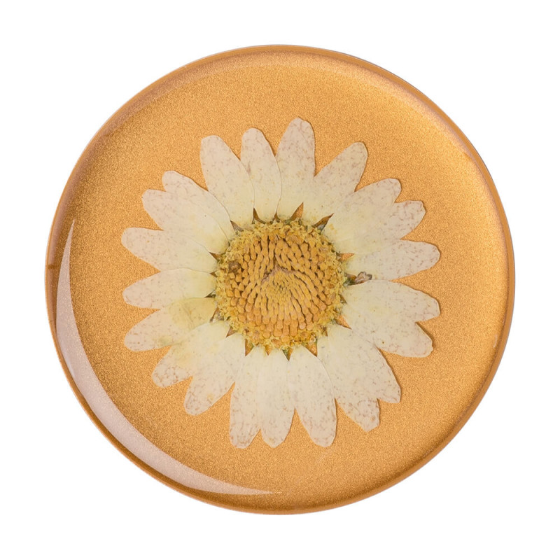 Produktbild för Pressed Flower White Daisy Avtagbart Grip med Ställfunktion Premium