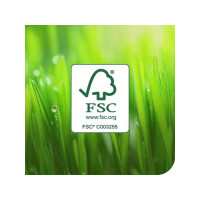 Produktbild för Rengöringsduk TORK W4 Kraftig vit 280/fp