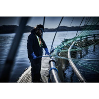 Produktbild för Kemikaliehandske GRANBERG 0630 10