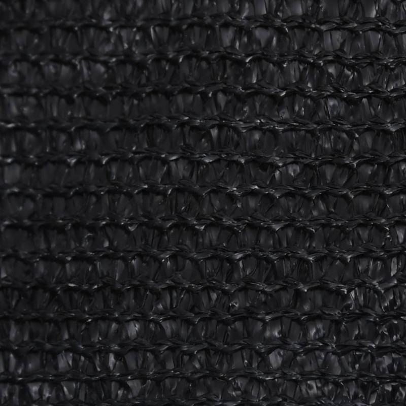 Produktbild för Solsegel 160 g/m² svart 3x4x5 m HDPE