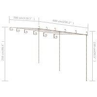 Produktbild för Pergola antikbrun 6x3x2,5 m järn