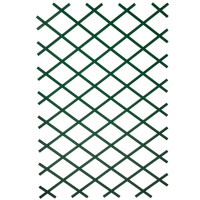 Produktbild för Nature Trädgårdsspaljé 100x200 cm PVC grön 6040704