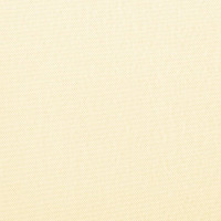 Produktbild för Sidomarkis för terrass gräddvit 240x160 cm