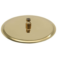 Produktbild för Takduschhuvud rostfritt stål 30 cm rund guld