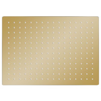 Produktbild för Regnduschhuvud rostfritt stål 40x30 cm rektangulärt guld