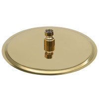 Produktbild för Takduschhuvud rostfritt stål 25 cm rund guld