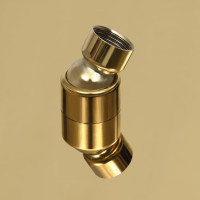 Produktbild för Takduschhuvud rostfritt stål 25 cm rund guld