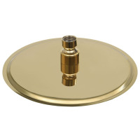 Produktbild för Takduschhuvud rostfritt stål 20 cm rund guld