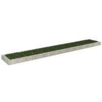 Produktbild för Planteringsgabion upphöjd galvaniserat stål 600x100x20 cm