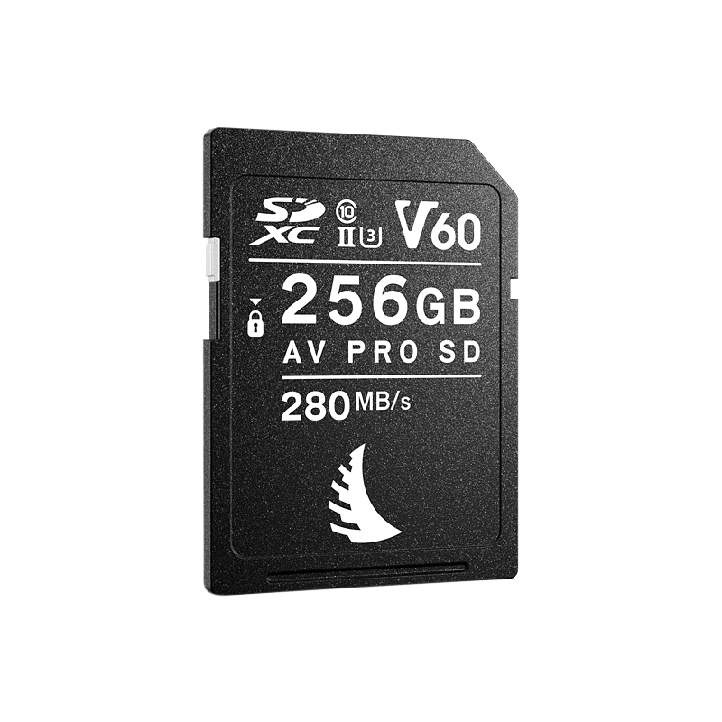 Produktbild för Angelbird AV PRO SD MK2 256GB V60 | 1 PACK