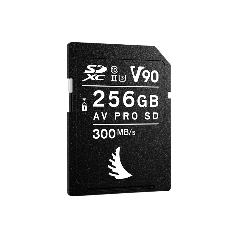 Produktbild för Angelbird AV PRO SD MK2 256GB V90 | 1 PACK