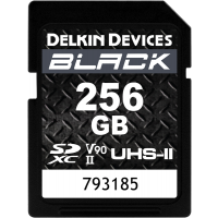 Miniatyr av produktbild för Delkin SD BLACK Rugged UHS-II (V90) R300/W250 256GB