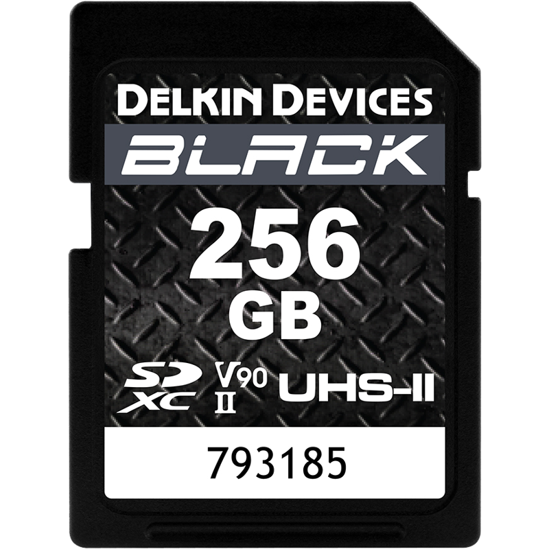 Produktbild för Delkin SD BLACK Rugged UHS-II (V90) R300/W250 256GB
