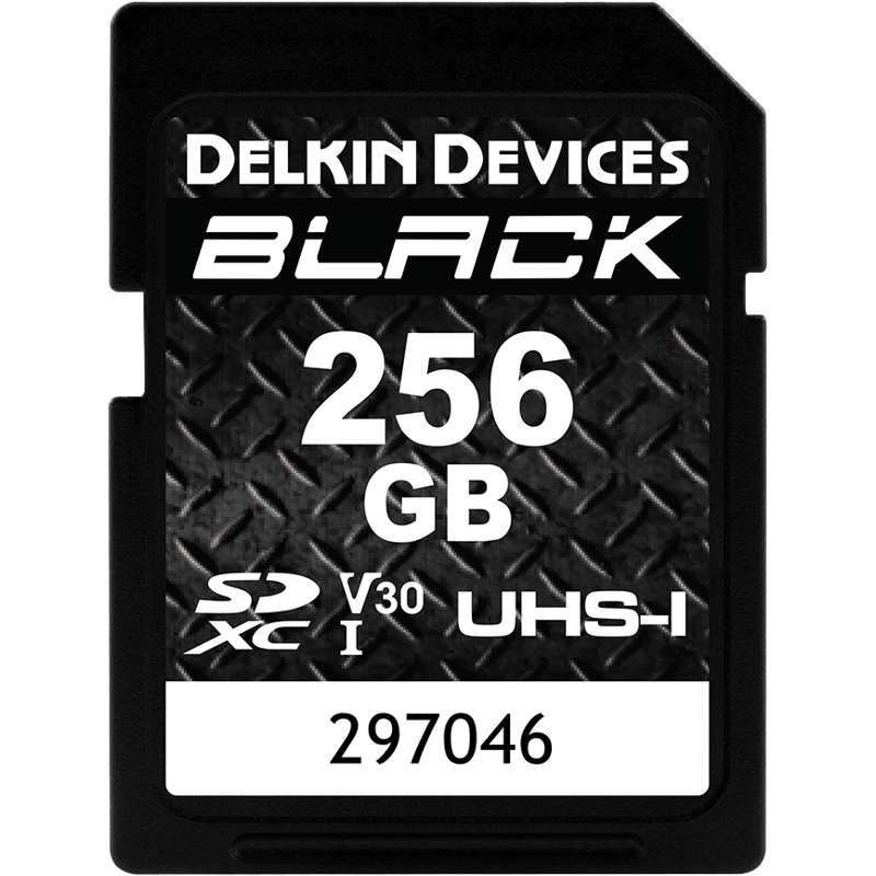 Produktbild för Delkin SD BLACK Rugged UHS-I (V30) R90/W90 256GB