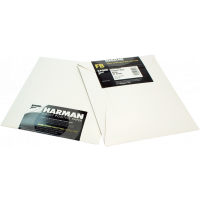 Produktbild för Ilford Direct Positiv Paper FB 1K 4x5 25 Sheets