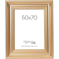 Produktbild för Focus Charleston Gold 50x70
