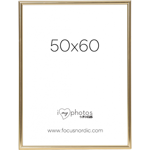 FOCUS Focus Can-Can Shiny Gold 50x60