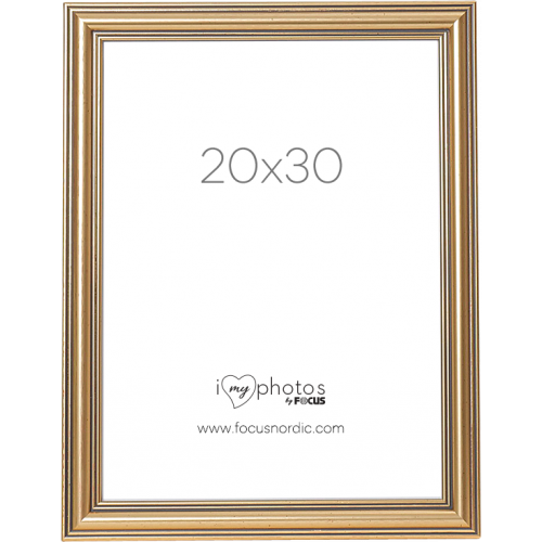 FOCUS Focus Tango Classic Gold 20x30