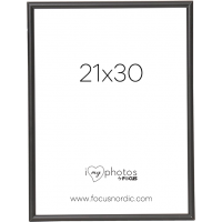 Produktbild för Focus Can-Can Aluminium Black 21x30