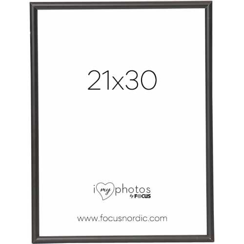 FOCUS Focus Can-Can Aluminium Black 21x30