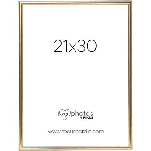 FOCUS Focus Can-Can Shiny Gold 21x30