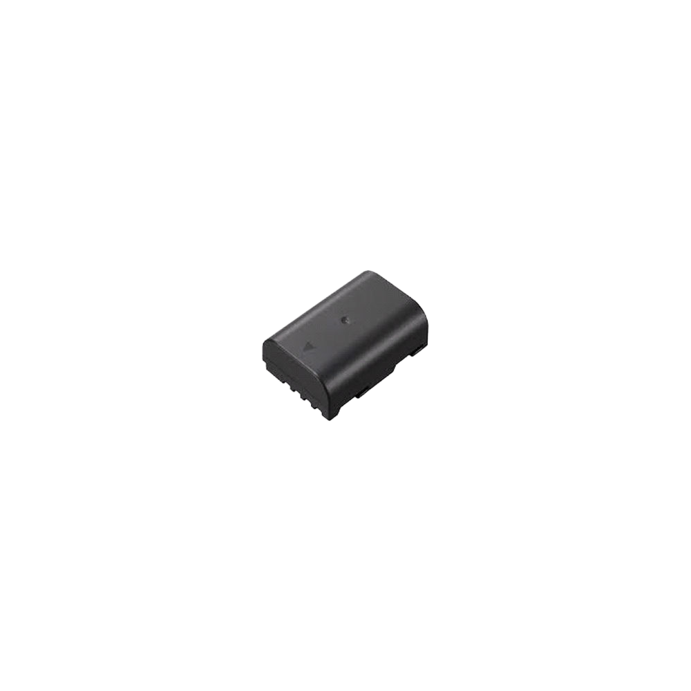 Produktbild för Panasonic Battery DMW-BLF19E