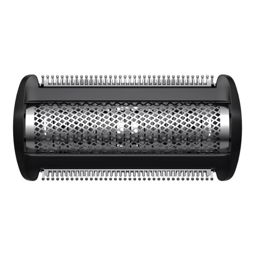 Philips Philips TT2000 - rakhuvud