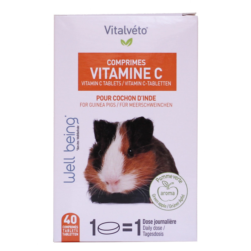 Produktbild för Vitalvéto Vitamin C tabletter 40 tabl.